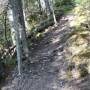 Berg Lake Trail